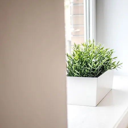 Nadbystrzycka No. 02 *